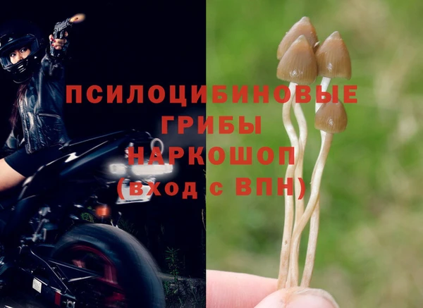 таблы Нягань