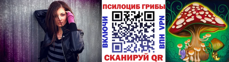 цена OMG вход Псилоцибиновые грибы мицелий Кинель