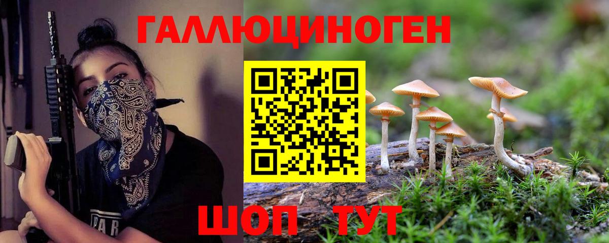 Кинель  Галлюциногенные грибы MAGIC MUSHROOMS  Вход с VPN 