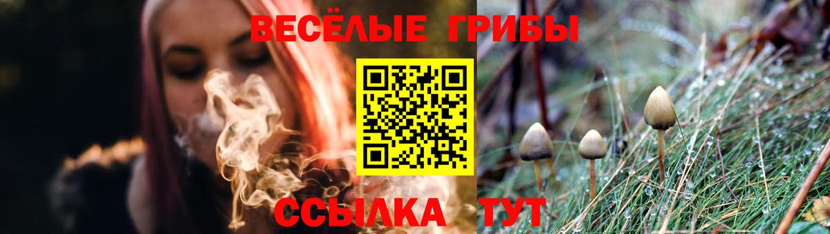 Кодеин Кинель