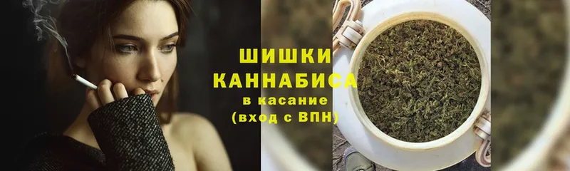 Канабис планчик  блэк спрут   Кинель 